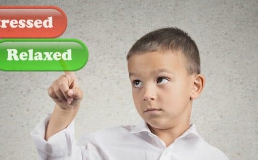 Reducing School Stress